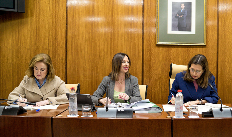 La consejera de Fomento, Rocío Díaz, durante el transcurso de la comisión en el Parlamento.